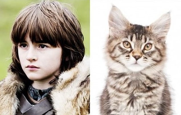 Bran Stark