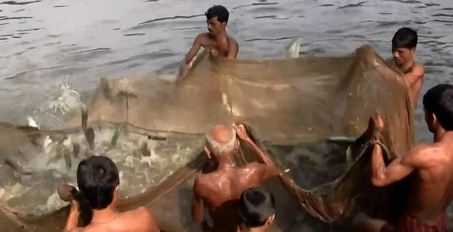 Bangladeşli Balıkçılardan İnsanlık Dersi