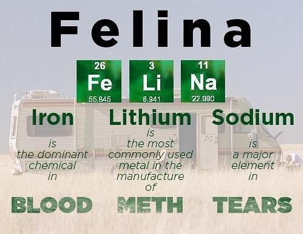 24. Final bölümünün adı Felina, demir, lityum ve sodyum'un simgelerinden oluşuyor. Demir = kan, lityum = meth, sodyum = gözyaşı. Ayrıca Felina "finale" kelimesinin anagramı.