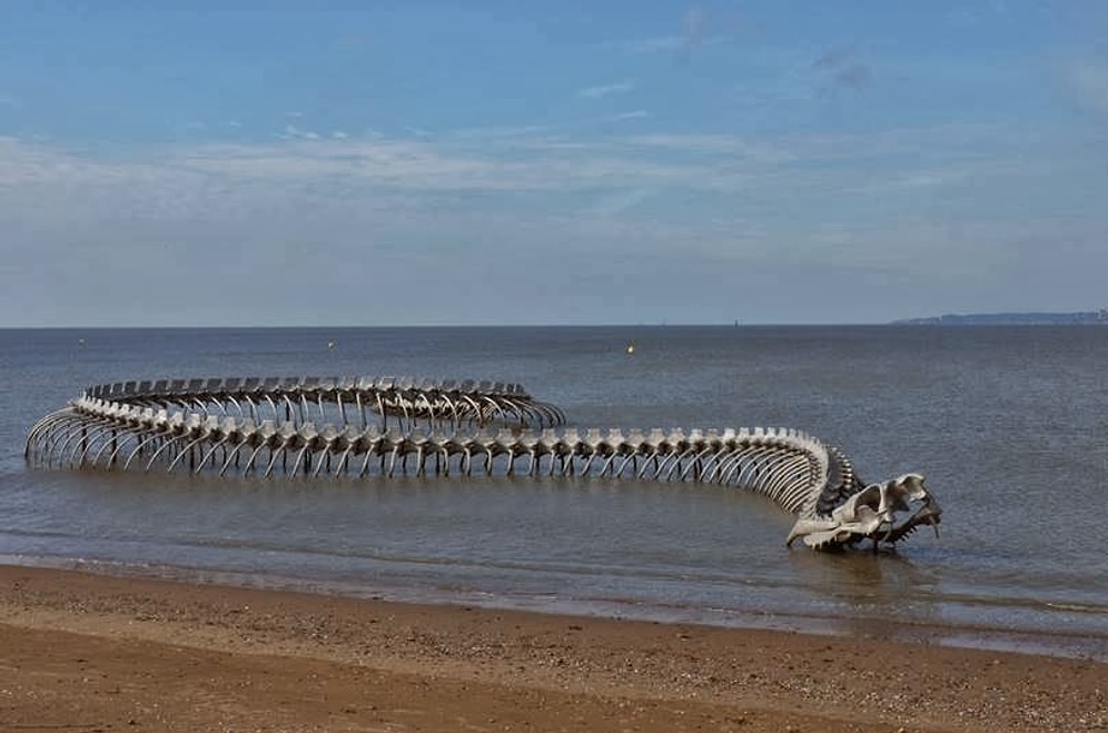 Görenleri Şaşkına Çeviren Dev Yılan İskeleti