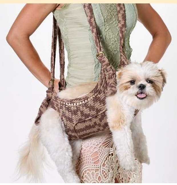 Evcil Hayvaninizin Sizden Nefret Etmesini Saglayacak 19 Urun