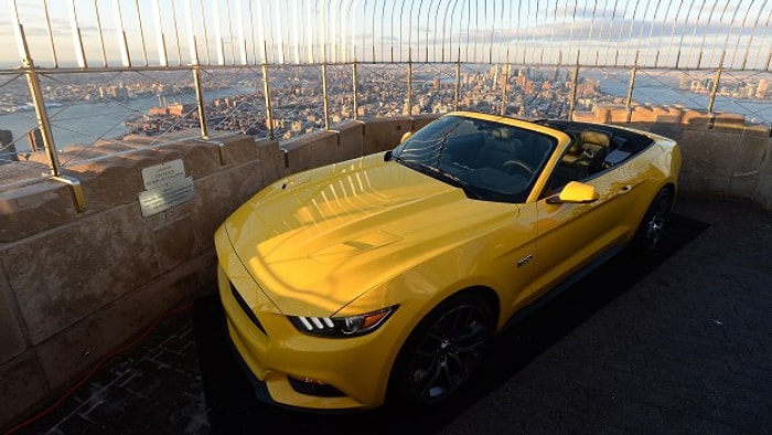 Mustang, New York'un Tepesine Çıktı