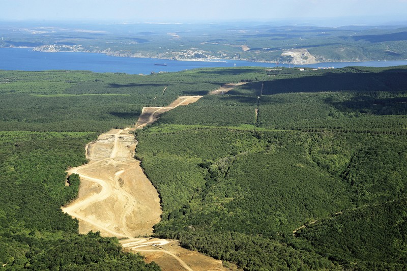 6831 sayılı orman kanunu son hali