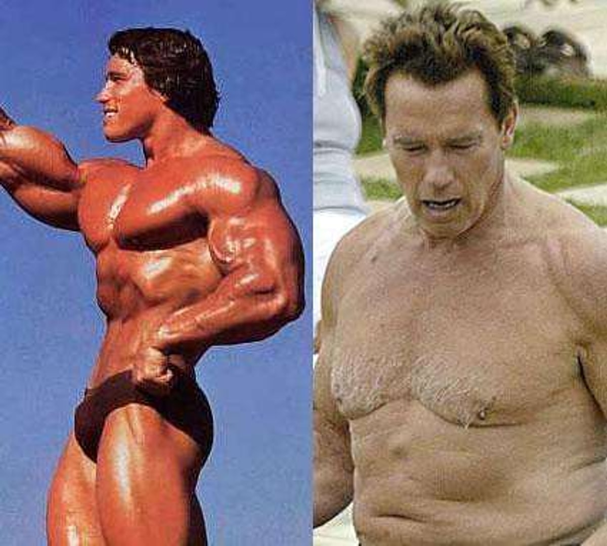 15. <b>Arnold</b> <b>Schwarzenegger</b>. 