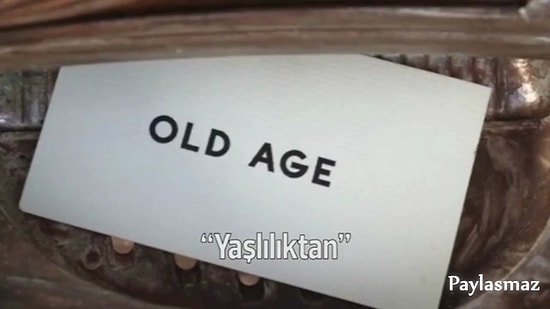 İşte Böyle Öleceksin