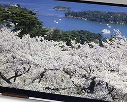 Tablet ve Dizüstüler 2015'te 4K'lanacak