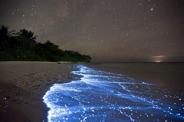 18. Yıldızlar Denizi, Vaadhoo Adası, Maldivler