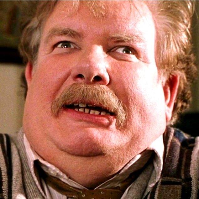 3. As soon as the dragon meets Harry's uncle Vernon, it would probably burn him to ashes. Poor Dursleys!