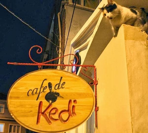 2.Cafe de Kedi'de, kedicikler ülkesinde bir havuçlu kek...
