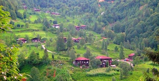 Rize'de ‘SİT Savaşı'nı Halk Kazandı...