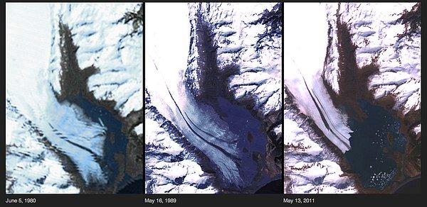 3. Alaska Bear Buzulu'nda 1980 ve 2011 yılları arasında yaşanan erime bu fotoğraf serisiyle gözler önüne serilmiş.