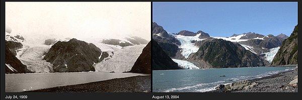 11. Alaska Holgate Buzulu 1909 ve 2004 yılları arasındaki 95 yıl boyunca önemli ölçüde geriledi.