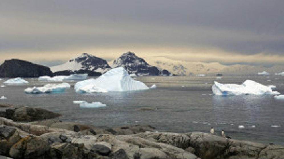 Antarktika'daki Buzulların Erime Hızı İki Katına Çıktı