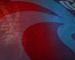 Trabzonspor'un Dilekçesiyle İlgili Gelişme