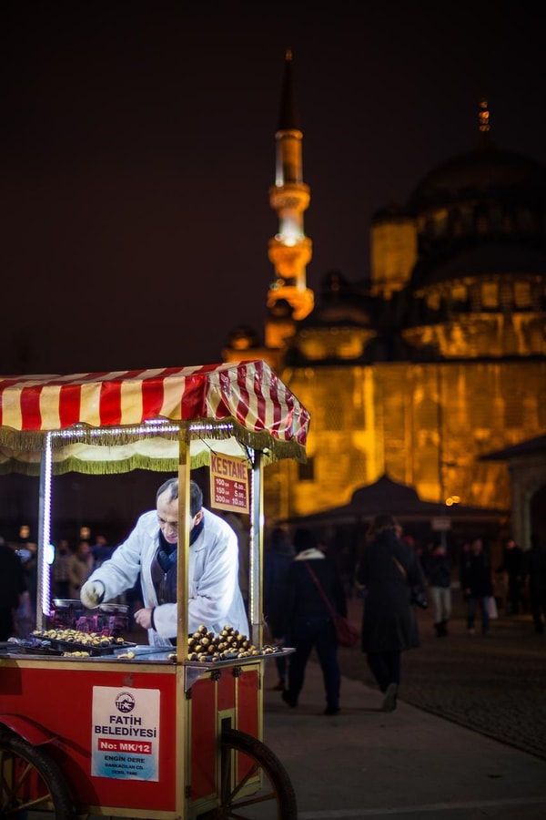 8. Kışın Habercisi Kestane