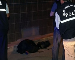 Genç Kadın Başı Ezilerek Öldürüldü