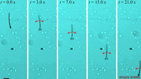 Sperm Şeklinde Robotlar Nanoteknolojide Kullanılabilir