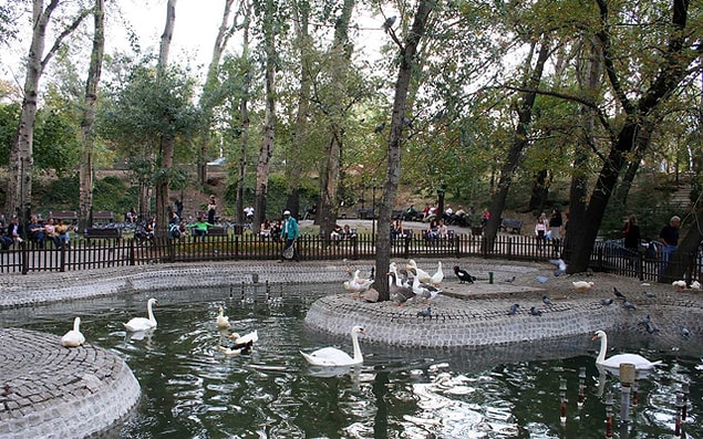 2. Kuğulu Park'ta kuğulara yem atmak.