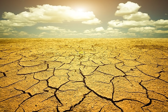 11 Madde ile Dünya 3 - 6 °C Daha Sıcak Olsa Ne Olurdu?