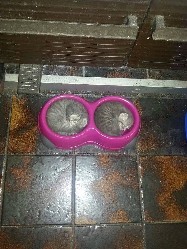 10.