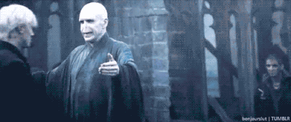 16. Voldemort aşktan acizdir çünkü babası bir aşk iksirinin etkisindeyken annesi ona hamile kaldı.