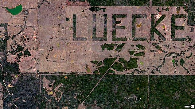 Farm Luecke, Teksas, ABD. (Luecke - sahibinin soyadı) - 30°4’59 «N 97°8’28″ W