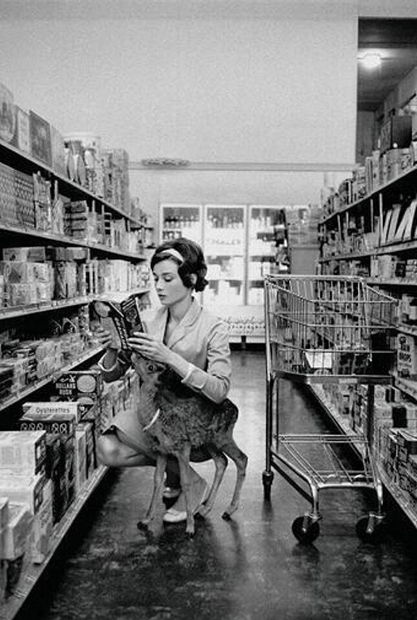 8. Audrey Hepburn, Beverly Hills'te Ip adındaki geyiğiyle alışveriş yaparken-1958.