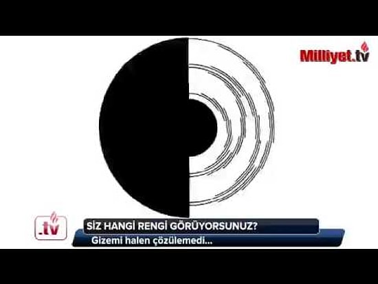 Siz Hangi Rengi Görüyorsunuz? Benham'ın Topacı