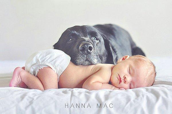 7. Sıcacık köpeği ile mışıl mışıl uyuyan bebek.