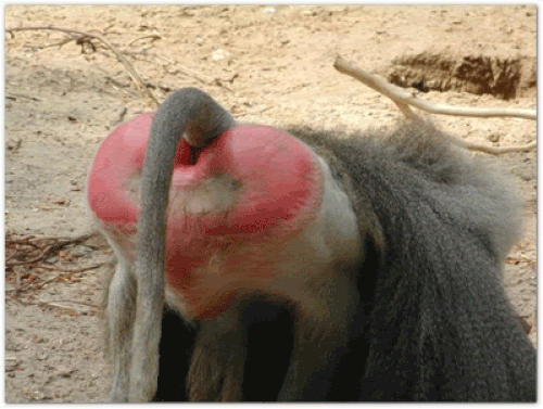s-a3ac6671a07d3559c33da18d8e636f371a191208.gif