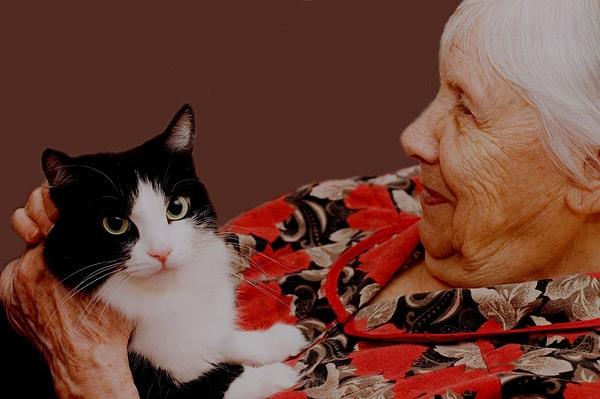 10. Kediler Alzheimer'la savaşmada birebir.