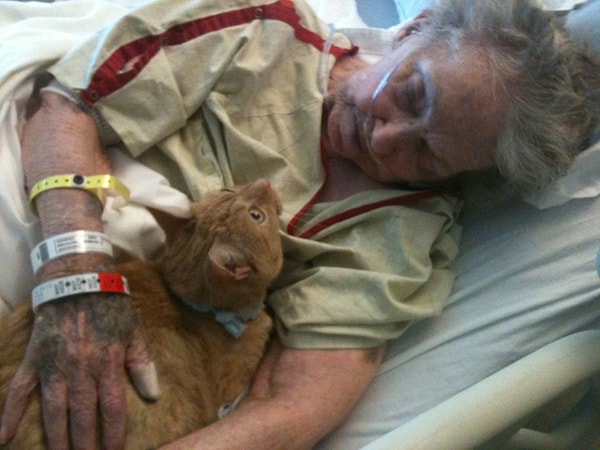 18. Хозяева кошек меньше обращаются к врачу.