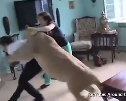 Aslanın Pençelerinden Aldı