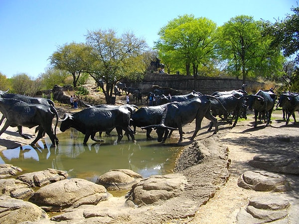 14. ''Sığır Sürme'', Dallas, Texas, ABD