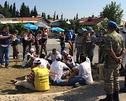 Sütaş Eyleminde Sendikacıya Gözaltı