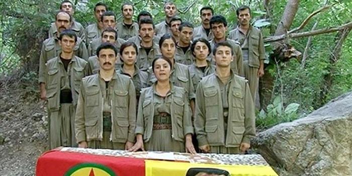 21 Üniversite Öğrencisi PKK'ya Katıldı