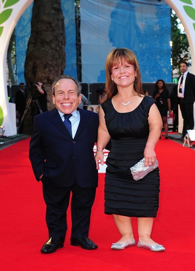 Profesör Flitwick Warwick Davis