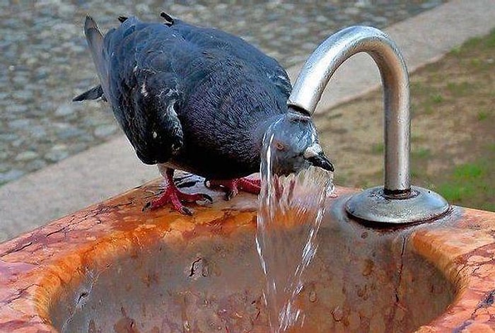 Yaz Mevsiminin Cehennem Sıcaklarını Anlatan 29 Fotoğraf