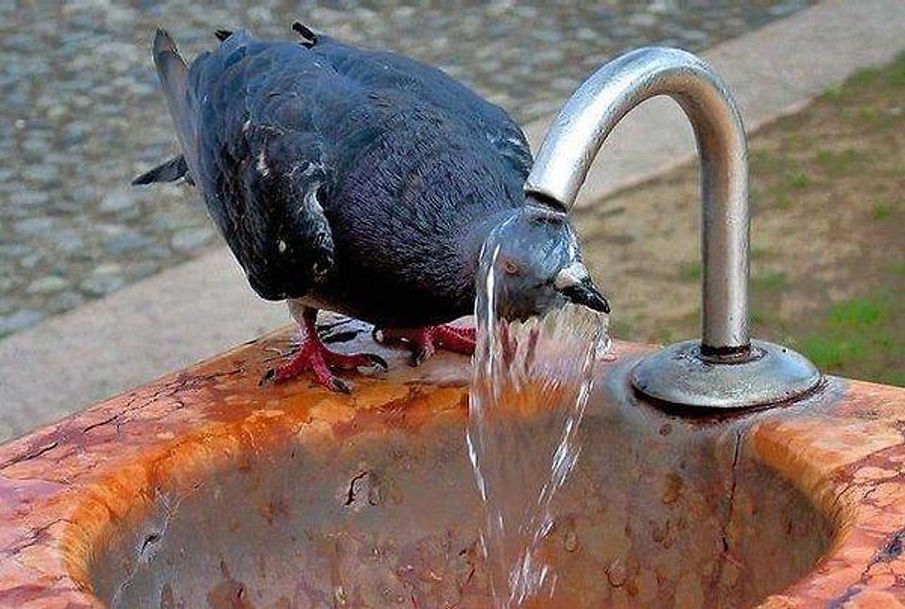 Yaz Mevsiminin Cehennem Sıcaklarını Anlatan 29 Fotoğraf