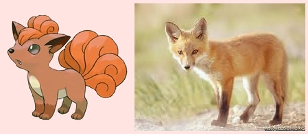 13. Vulpix - Fox