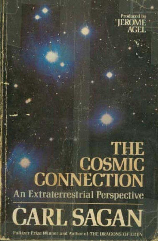 17. The Cosmic Connection: An Extraterrestrial Perspective