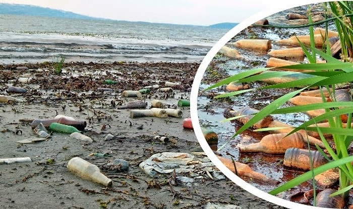 Sapanca Gölü'ndeki Kuraklık Kirliliği Gün Yüzüne Çıkardı