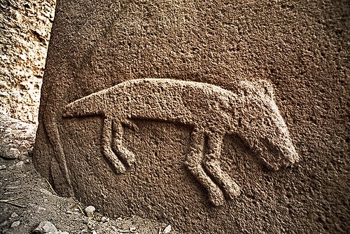 Dünyanın İlk Tapınağı Göbeklitepe Hakkında Bilmemiz Gereken 14 Şey