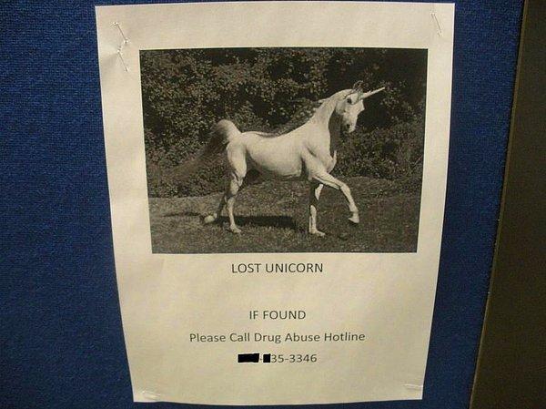 6. Kayıp Unicorn! Eğer görürseniz lütfen arayınız:  Uyuşturucuyla Mücadele Derneği