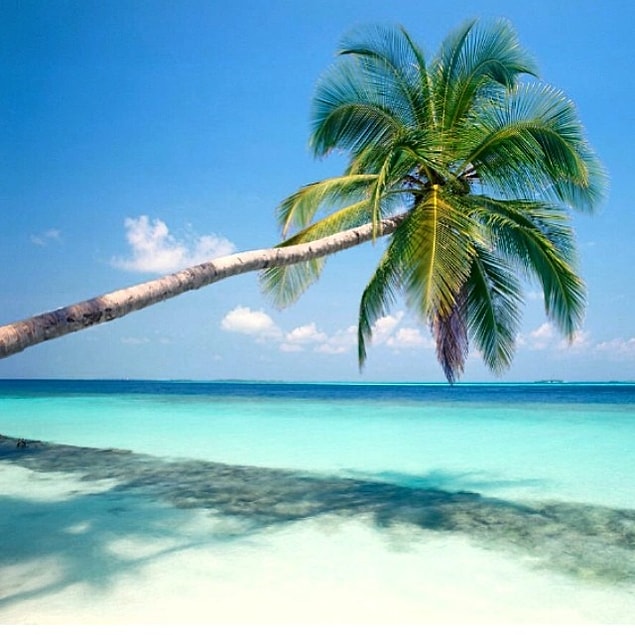 3. Aruba Plajı, Karayipler