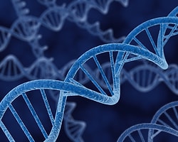 DNA'nın Yüzde 92′si İşe Yaramıyormuş...