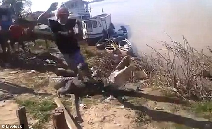 Dişlerinin Arasından Zor Kurtuldu