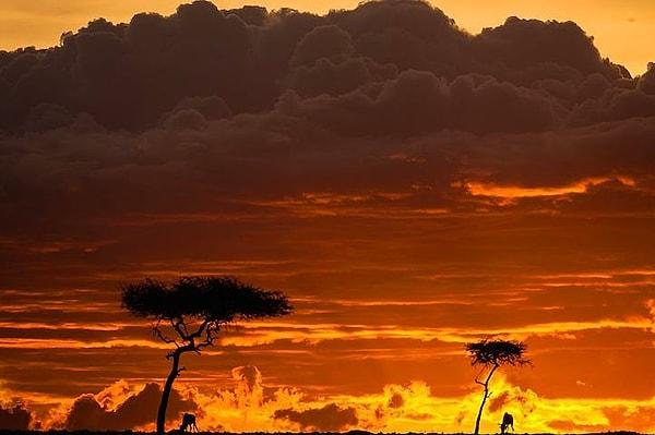 Afrika'da Günbatımı