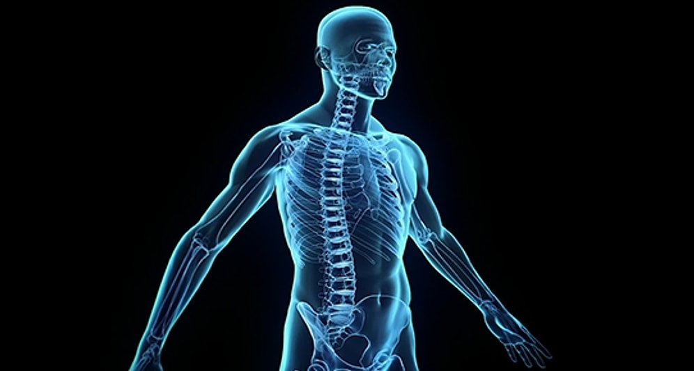 İnsan Vücudunu Şeffaflaştırmanın Yolu Bulundu