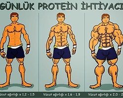 Protein Tozu mu Yoksa Normal Beslenme mi ?